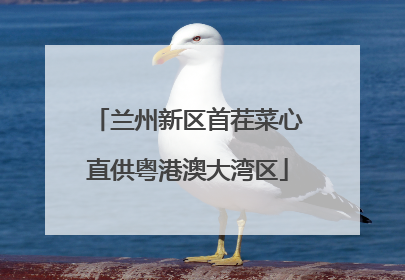 兰州新区首茬菜心直供粤港澳大湾区