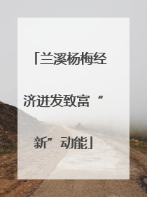 兰溪杨梅经济迸发致富“新”动能