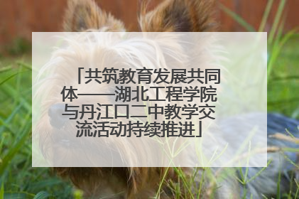 共筑教育发展共同体——湖北工程学院与丹江口二中教学交流活动持续推进