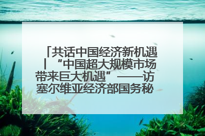共话中国经济新机遇丨“中国超大规模市场带来巨大机遇”——访塞尔维亚经济部国务秘书尼科利奇