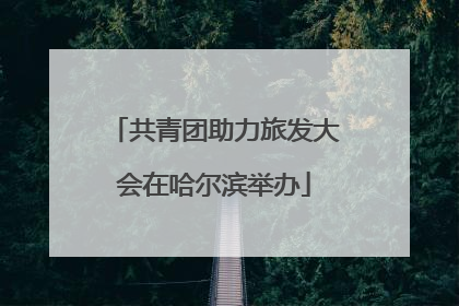 共青团助力旅发大会在哈尔滨举办