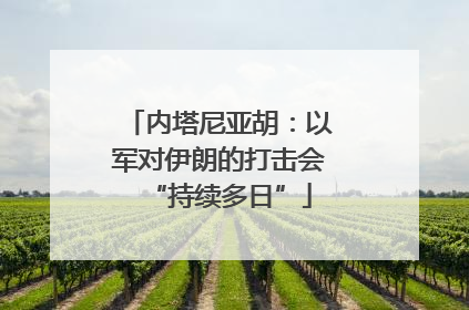 内塔尼亚胡：以军对伊朗的打击会“持续多日”