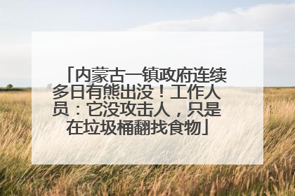 内蒙古一镇政府连续多日有熊出没！工作人员：它没攻击人，只是在垃圾桶翻找食物