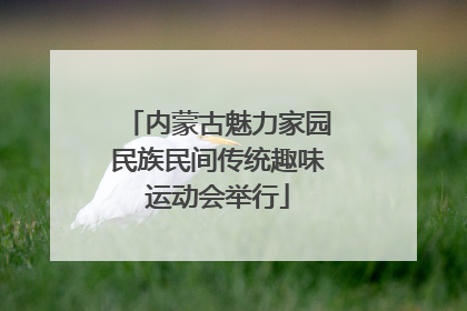 内蒙古魅力家园民族民间传统趣味运动会举行