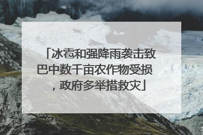 冰雹和强降雨袭击致巴中数千亩农作物受损，政府多举措救灾
