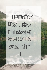 刷新游客印象，南京红山森林动物园凭什么这么“红”