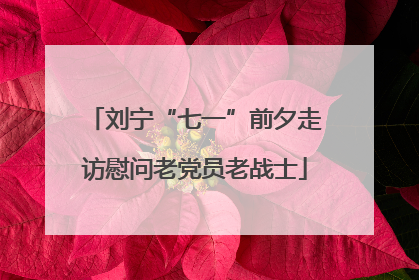 刘宁“七一”前夕走访慰问老党员老战士
