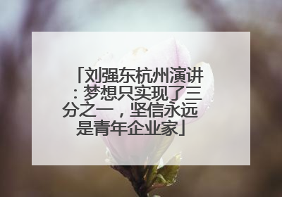 刘强东杭州演讲：梦想只实现了三分之一，坚信永远是青年企业家