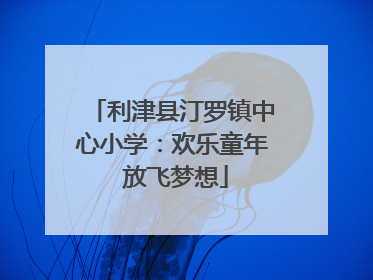 利津县汀罗镇中心小学：欢乐童年 放飞梦想