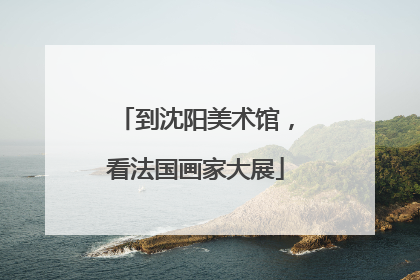 到沈阳美术馆，看法国画家大展