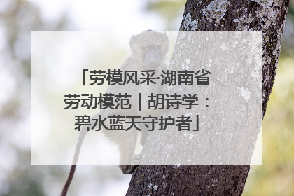 劳模风采·湖南省劳动模范｜胡诗学：碧水蓝天守护者