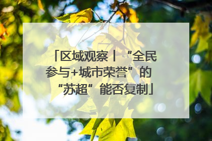 区域观察丨“全民参与+城市荣誉”的“苏超”能否复制
