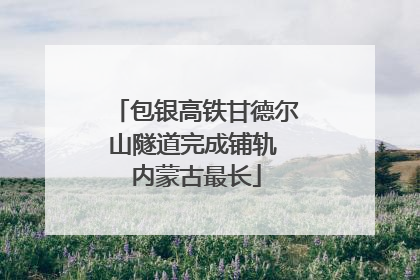 包银高铁甘德尔山隧道完成铺轨 内蒙古最长