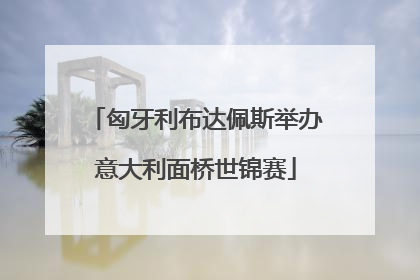 匈牙利布达佩斯举办意大利面桥世锦赛
