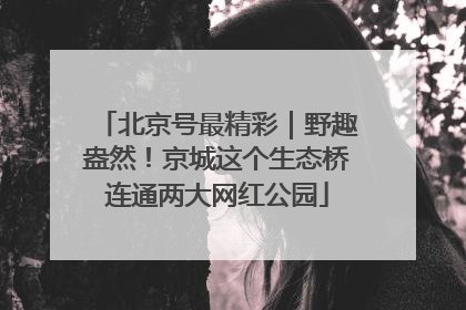 北京号最精彩｜野趣盎然！京城这个生态桥连通两大网红公园