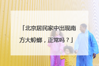 北京居民家中出现南方大蟑螂，正常吗？