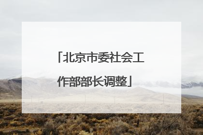 北京市委社会工作部部长调整