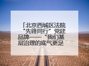 北京西城区法院“先锋同行”党建品牌——“我们基层治理的底气更足了！”