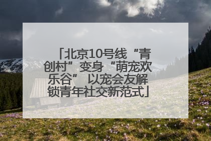 北京10号线“青创村”变身“萌宠欢乐谷” 以宠会友解锁青年社交新范式
