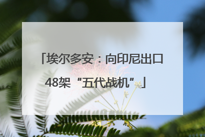 埃尔多安：向印尼出口48架“五代战机”