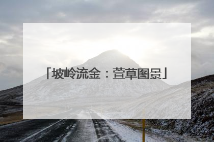 坡岭流金：萱草图景