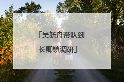 吴毓舟带队到长卿镇调研