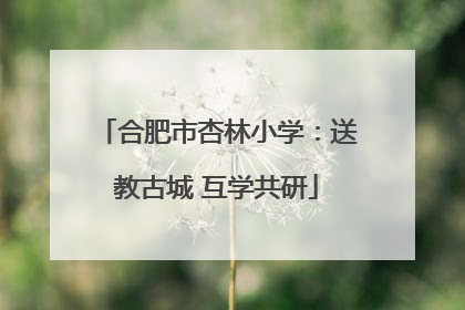 合肥市杏林小学：送教古城 互学共研