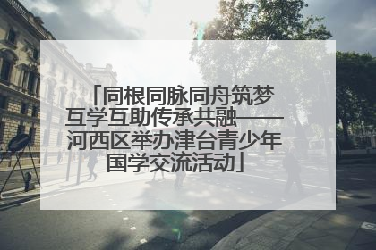 同根同脉同舟筑梦 互学互助传承共融——河西区举办津台青少年国学交流活动