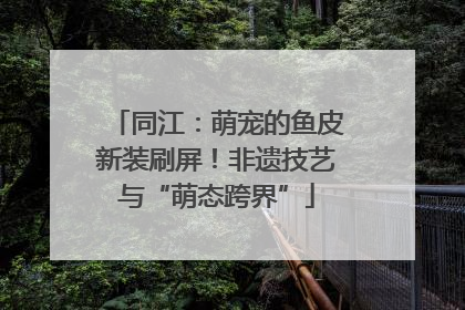 同江：萌宠的鱼皮新装刷屏！非遗技艺与“萌态跨界”