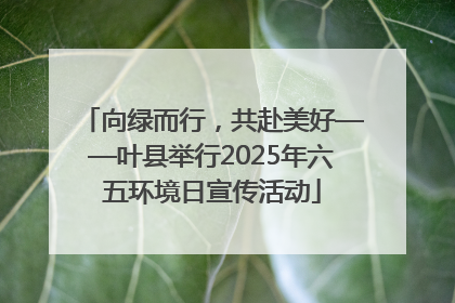 向绿而行，共赴美好——叶县举行2025年六五环境日宣传活动