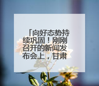 向好态势持续巩固！刚刚召开的新闻发布会上，甘肃省禁毒委向媒体公布三年禁毒工作“成绩单”