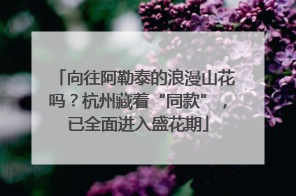 向往阿勒泰的浪漫山花吗？杭州藏着“同款”，已全面进入盛花期