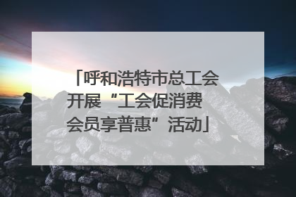 呼和浩特市总工会开展“工会促消费 会员享普惠”活动