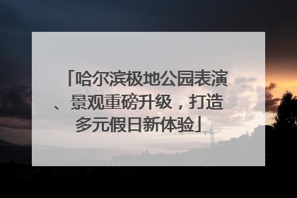 哈尔滨极地公园表演、景观重磅升级，打造多元假日新体验