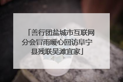 善行团盐城市互联网分会冒雨暖心回访阜宁县残联吴滩宜家