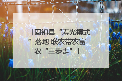 固镇县“寿光模式”落地 联农带农富农“三步走”