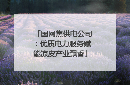 国网焦供电公司：优质电力服务赋能凉皮产业飘香