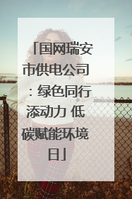 国网瑞安市供电公司：绿色同行添动力 低碳赋能环境日
