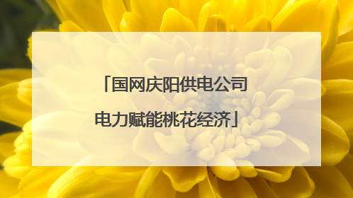 国网庆阳供电公司电力赋能桃花经济