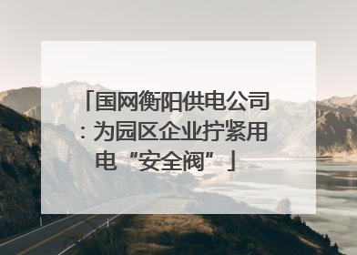 国网衡阳供电公司：为园区企业拧紧用电“安全阀”