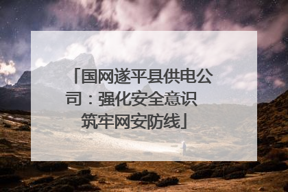 国网遂平县供电公司：强化安全意识 筑牢网安防线