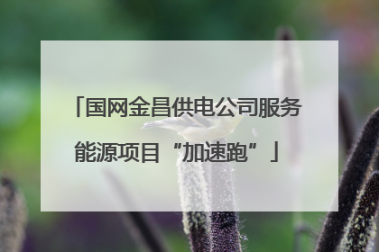 国网金昌供电公司服务能源项目“加速跑”