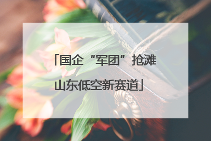 国企“军团”抢滩山东低空新赛道