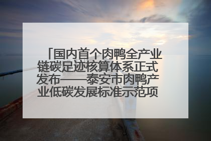国内首个肉鸭全产业链碳足迹核算体系正式发布——泰安市肉鸭产业低碳发展标准示范项目顺利通过验收