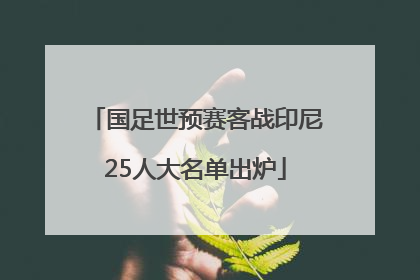 国足世预赛客战印尼25人大名单出炉