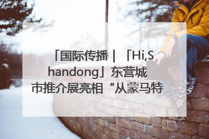 国际传播｜「Hi,Shandong」东营城市推介展亮相“从蒙马特到加里波第”文化节