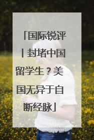国际锐评丨封堵中国留学生？美国无异于自断经脉