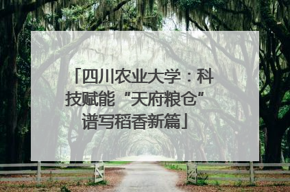 四川农业大学：科技赋能“天府粮仓”谱写稻香新篇