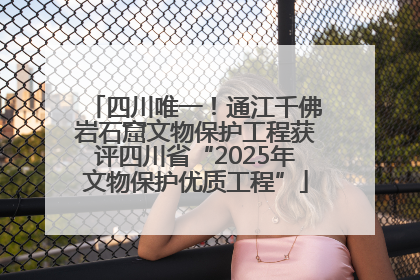 四川唯一！通江千佛岩石窟文物保护工程获评四川省“2025年文物保护优质工程”