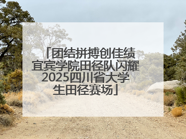 团结拼搏创佳绩 宜宾学院田径队闪耀2025四川省大学生田径赛场